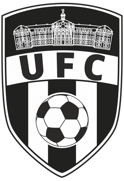 10er Set Aufkleber UFC Münster